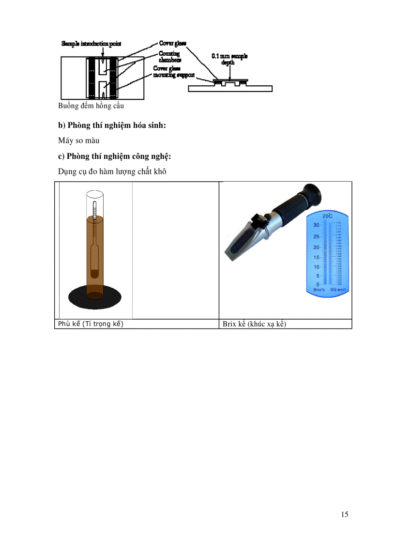 image for page Bài giảng thực hành công nghệ lên men