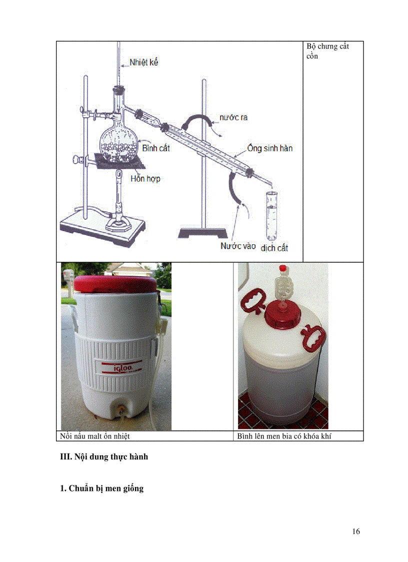 image for page Bài giảng thực hành công nghệ lên men