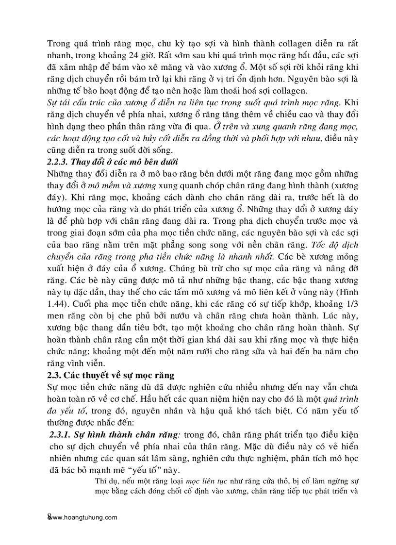 image for page Sự mọc răng và thay răng