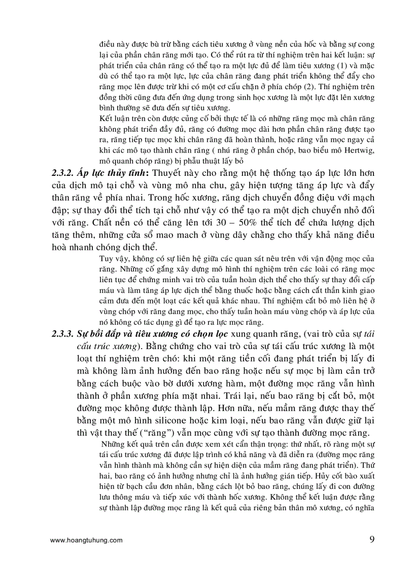 image for page Sự mọc răng và thay răng