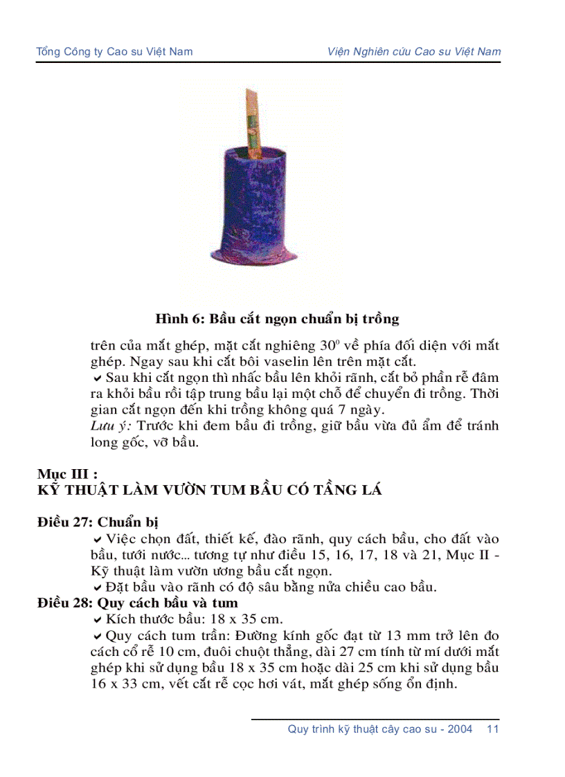 image for page Quy trình kỹ thuật cây cao su