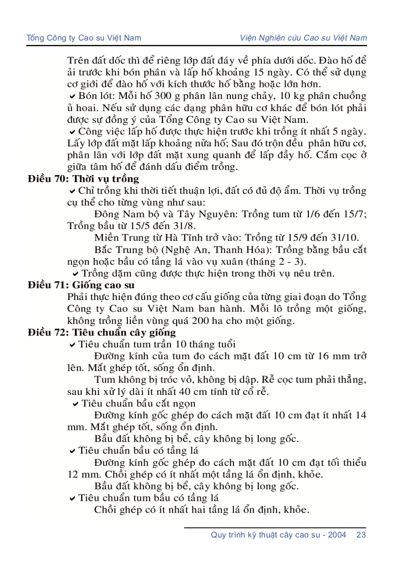 image for page Quy trình kỹ thuật cây cao su