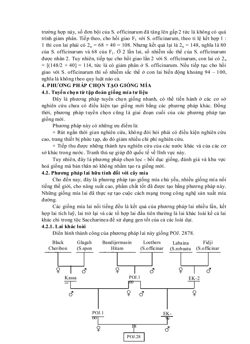 image for page Bài giảng Tạo giống cây trồng chuyên khoa 2