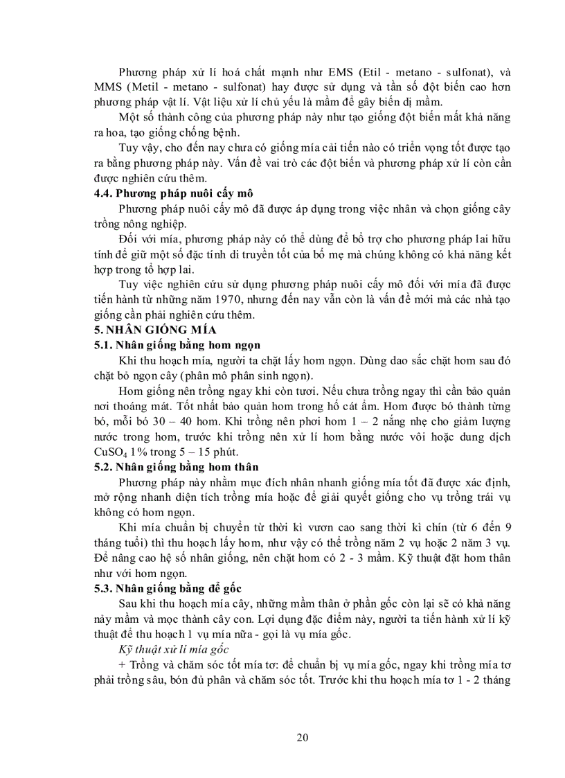 image for page Bài giảng Tạo giống cây trồng chuyên khoa 2