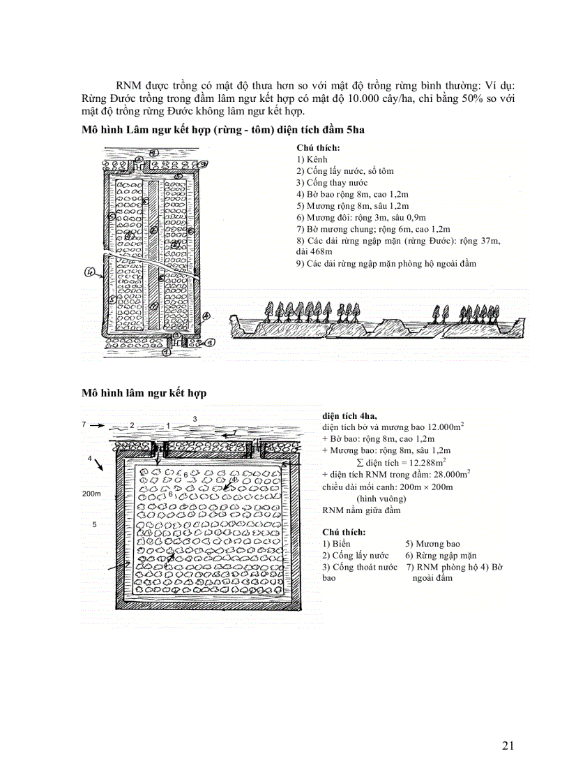 image for page Cẩm nang ngành lâm nghiệp Sản xuất nông lâm kết hợp ở Việt Nam