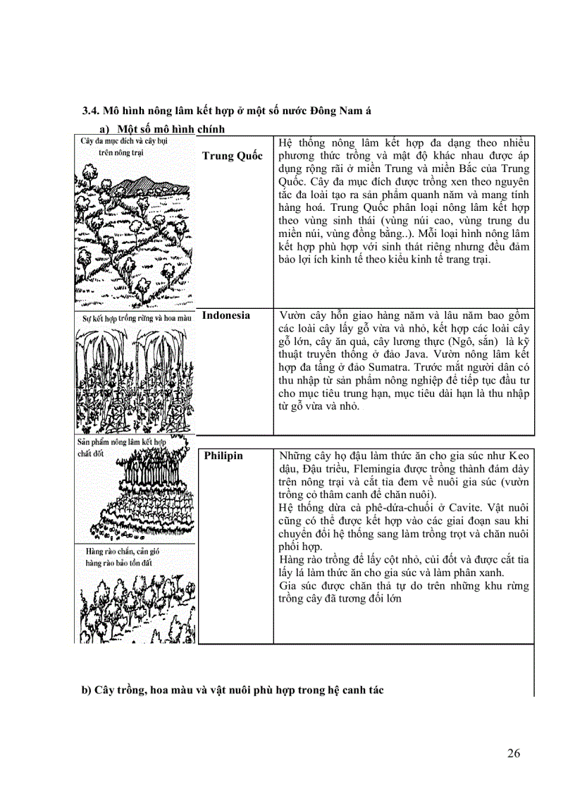 image for page Cẩm nang ngành lâm nghiệp Sản xuất nông lâm kết hợp ở Việt Nam