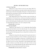 Lịch Sử Đô Thị