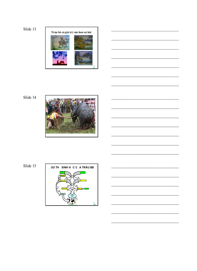 image for page Giáo Trình Chăn Nuôi Trâu Bò