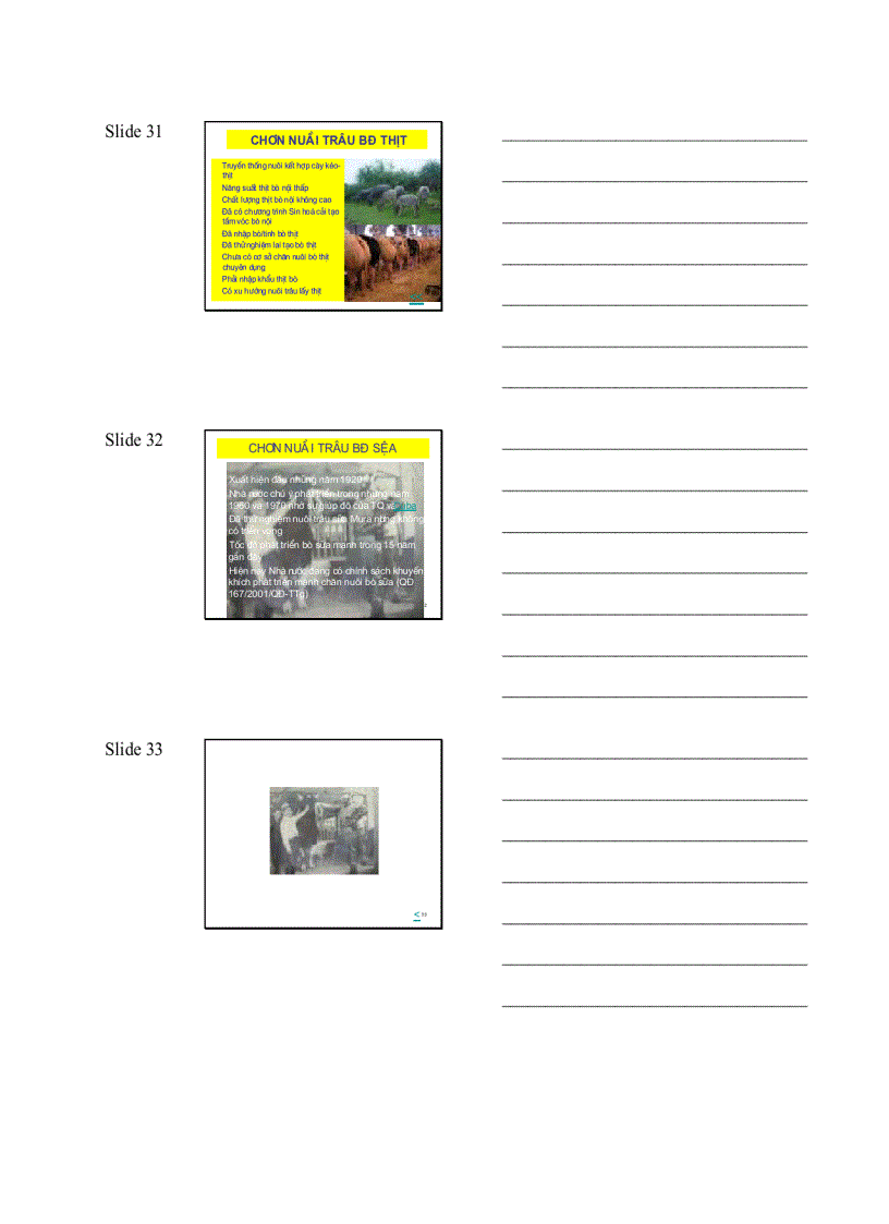 image for page Giáo Trình Chăn Nuôi Trâu Bò