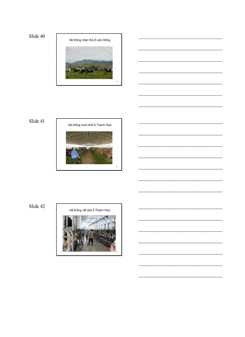 image for page Giáo Trình Chăn Nuôi Trâu Bò