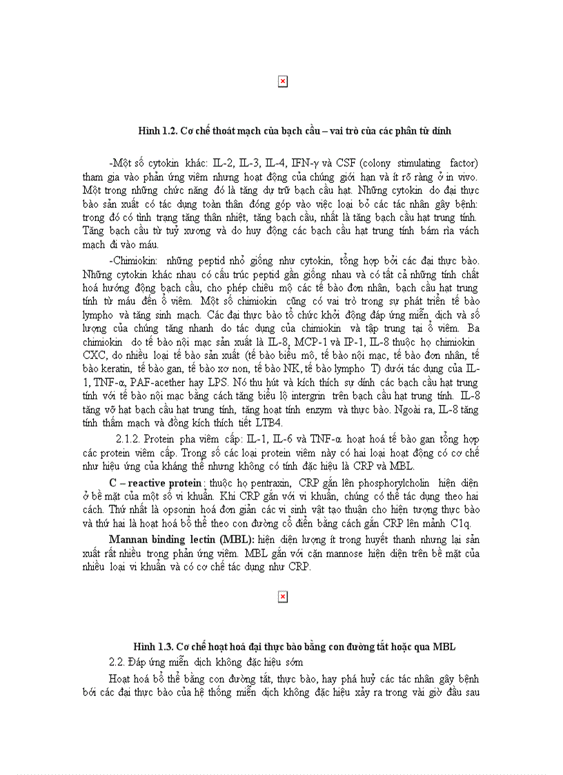 image for page Bài giảng Miễn dịch học ĐH Y Huế