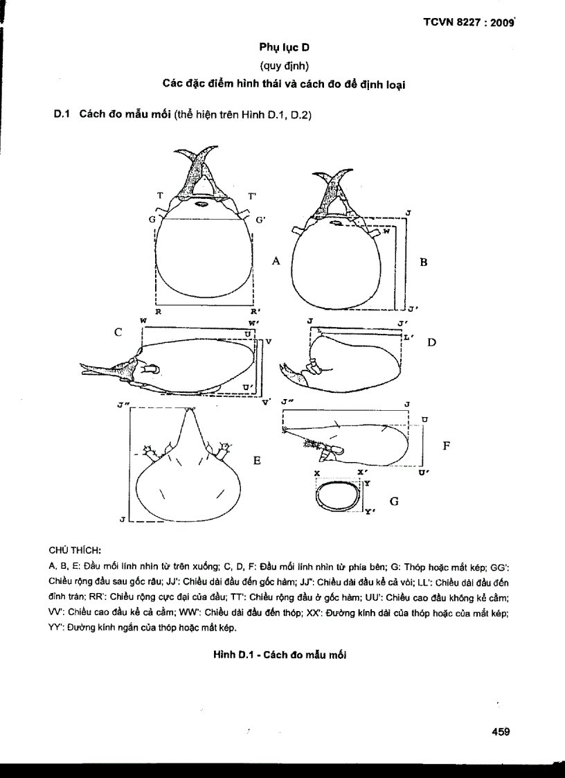 image for page TCVN 8227 2009 Mối gây hại cônh trình đê đập định loại xác định đặc điểm sinh học sinh thái học và đánh giá mức độ gây hại