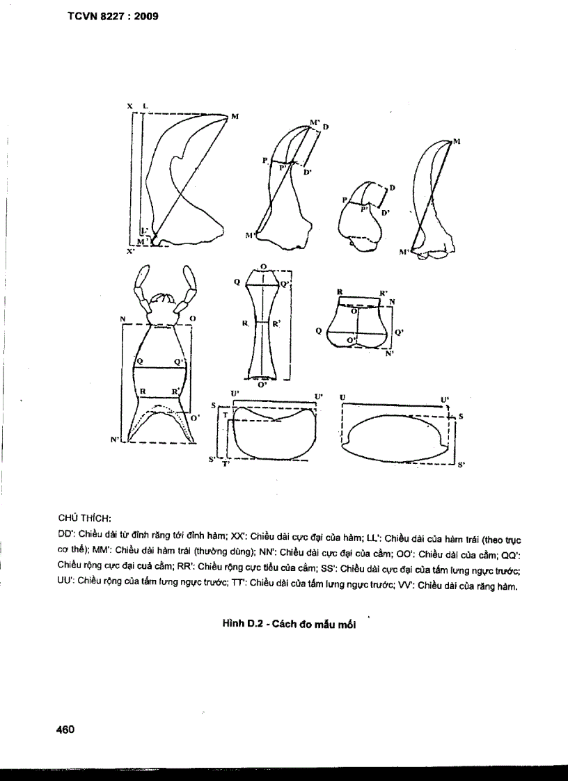 image for page TCVN 8227 2009 Mối gây hại cônh trình đê đập định loại xác định đặc điểm sinh học sinh thái học và đánh giá mức độ gây hại