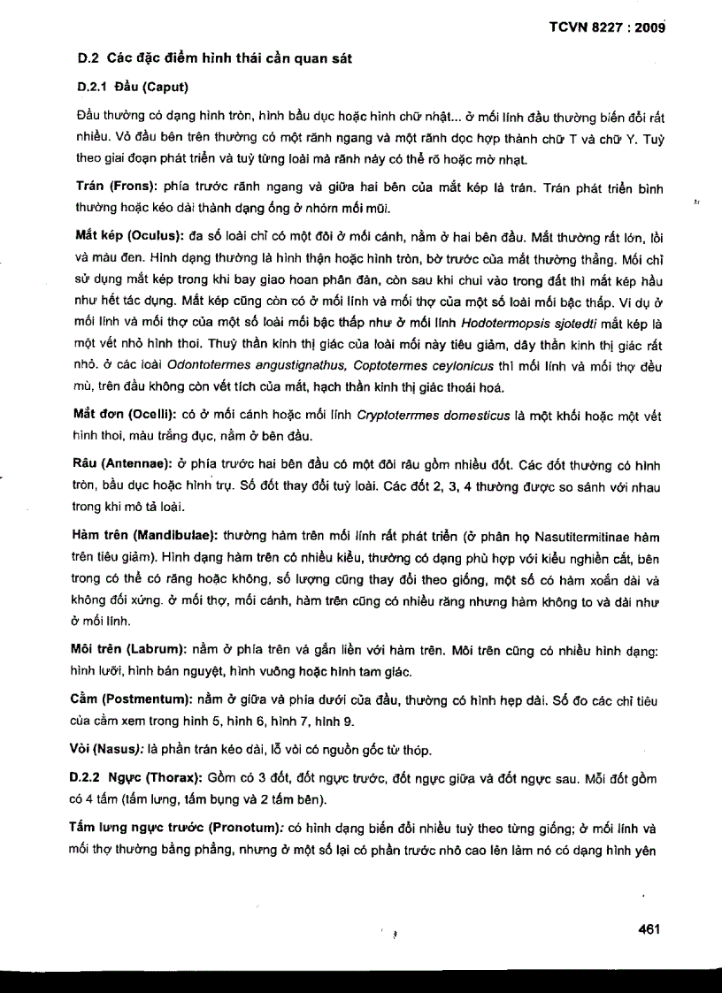 image for page TCVN 8227 2009 Mối gây hại cônh trình đê đập định loại xác định đặc điểm sinh học sinh thái học và đánh giá mức độ gây hại