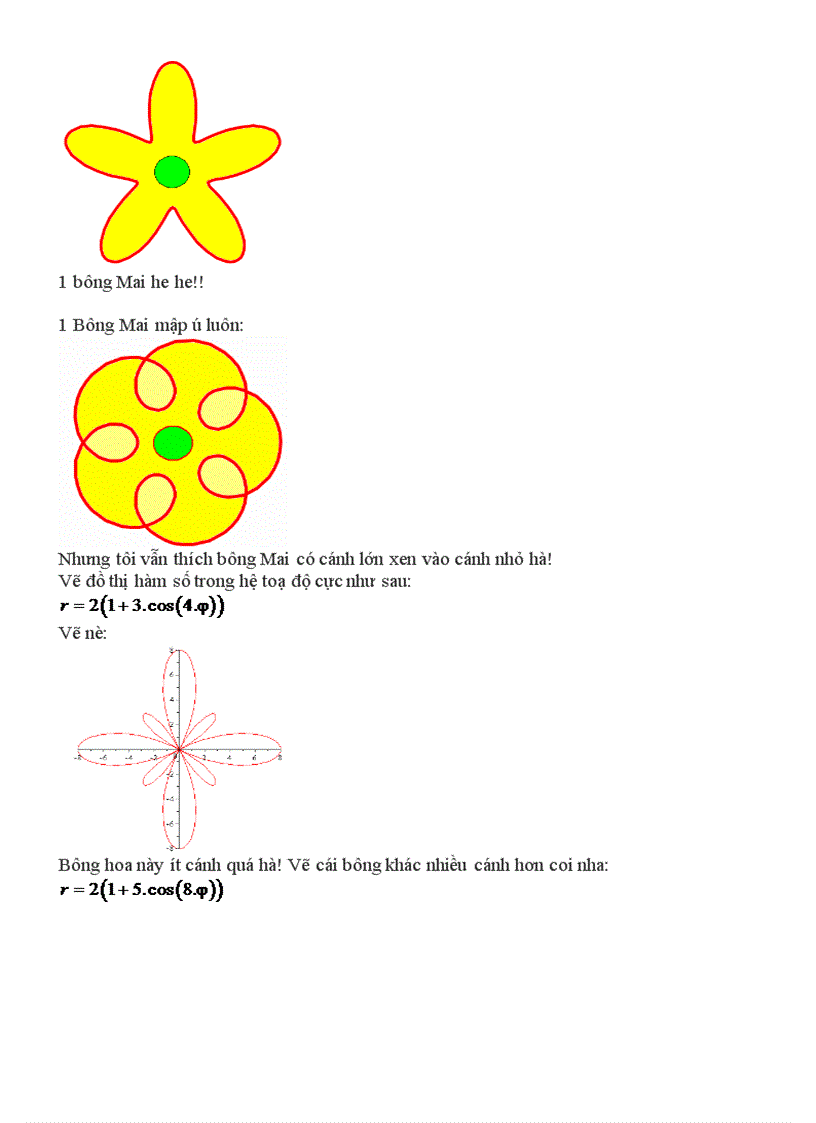 Phương trình bông hoa trong toán học