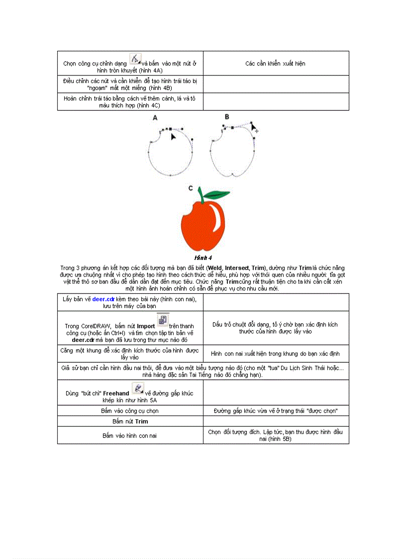 image for page Hướng dẫn thao tác và vẽ CorelDraw