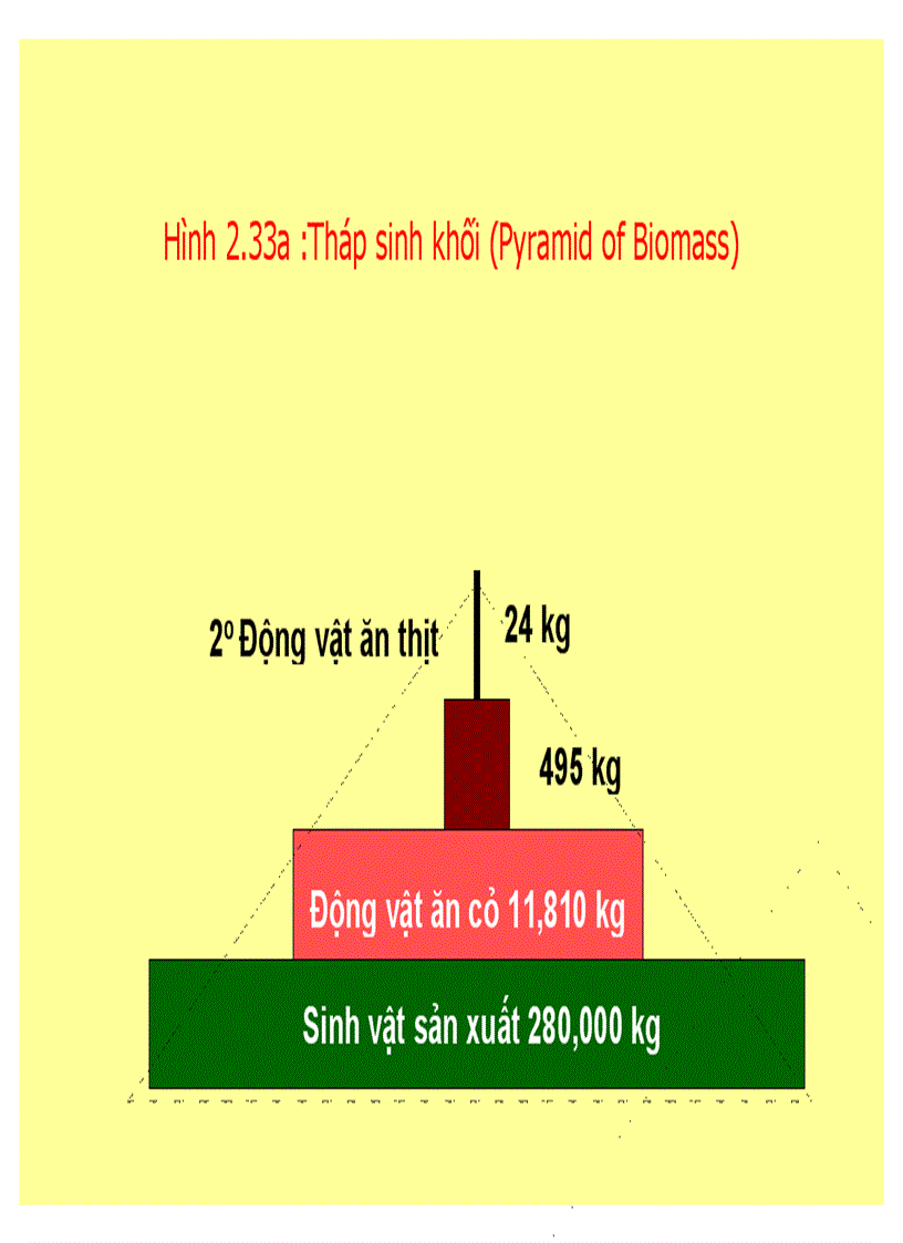 image for page Bài giảng Phân tích hệ thống môi trường