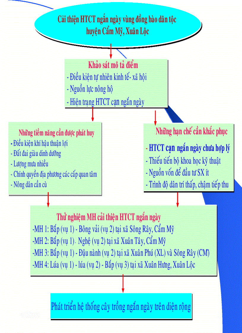 image for page Nghiên cứu cải tiến hệ thống cây trồng cạn tại một số vùng đồng bào dân tộc tỉnh Đồng Nai