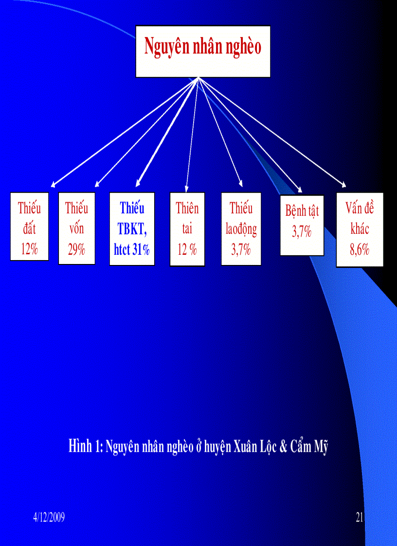 image for page Nghiên cứu cải tiến hệ thống cây trồng cạn tại một số vùng đồng bào dân tộc tỉnh Đồng Nai