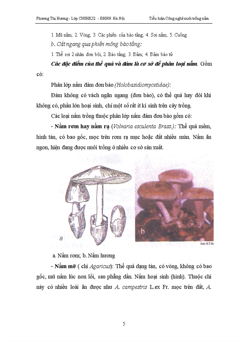 image for page Trồng nấm