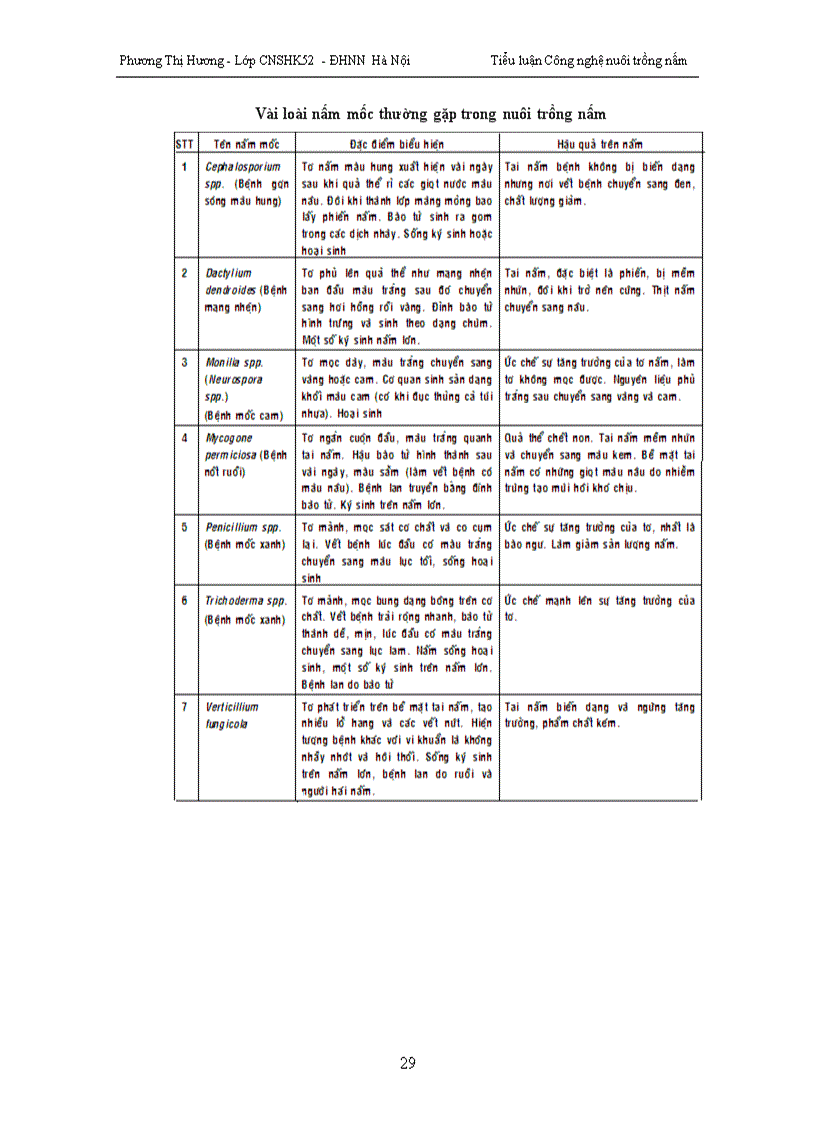 image for page Trồng nấm