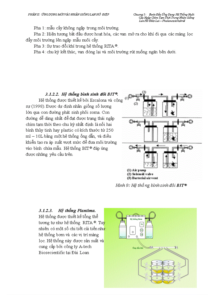 image for page Ứng Dụng Mới Trong Nhân Giống Lan Hồ Điệp
