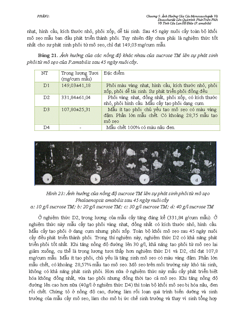 image for page Ứng Dụng Mới Trong Nhân Giống Lan Hồ Điệp