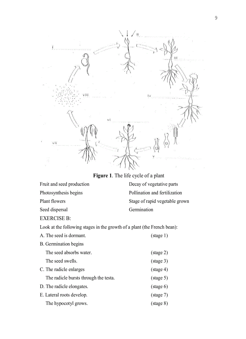 image for page Tiếng anh chuyên ngành nông nghiệp nhất là nông học nông lâm
