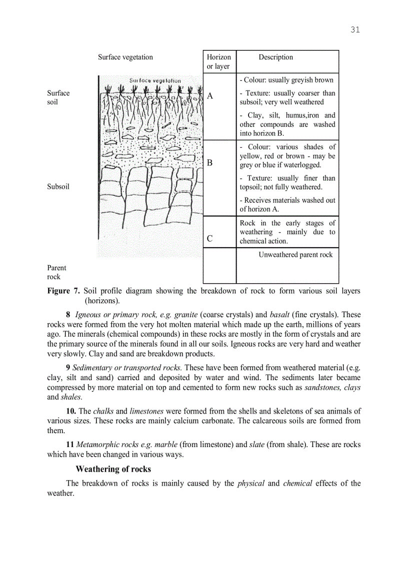 image for page Tiếng anh chuyên ngành nông nghiệp nhất là nông học nông lâm