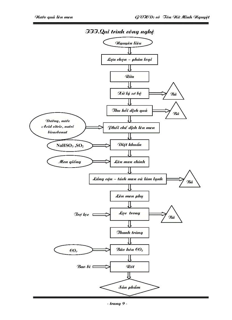 image for page Nước quả lên men