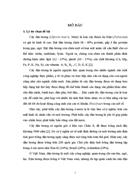 Phản ứng của một số giống đậu tương chịu hạn khác nhau nảy mầm trong điều kiện thiếu nước