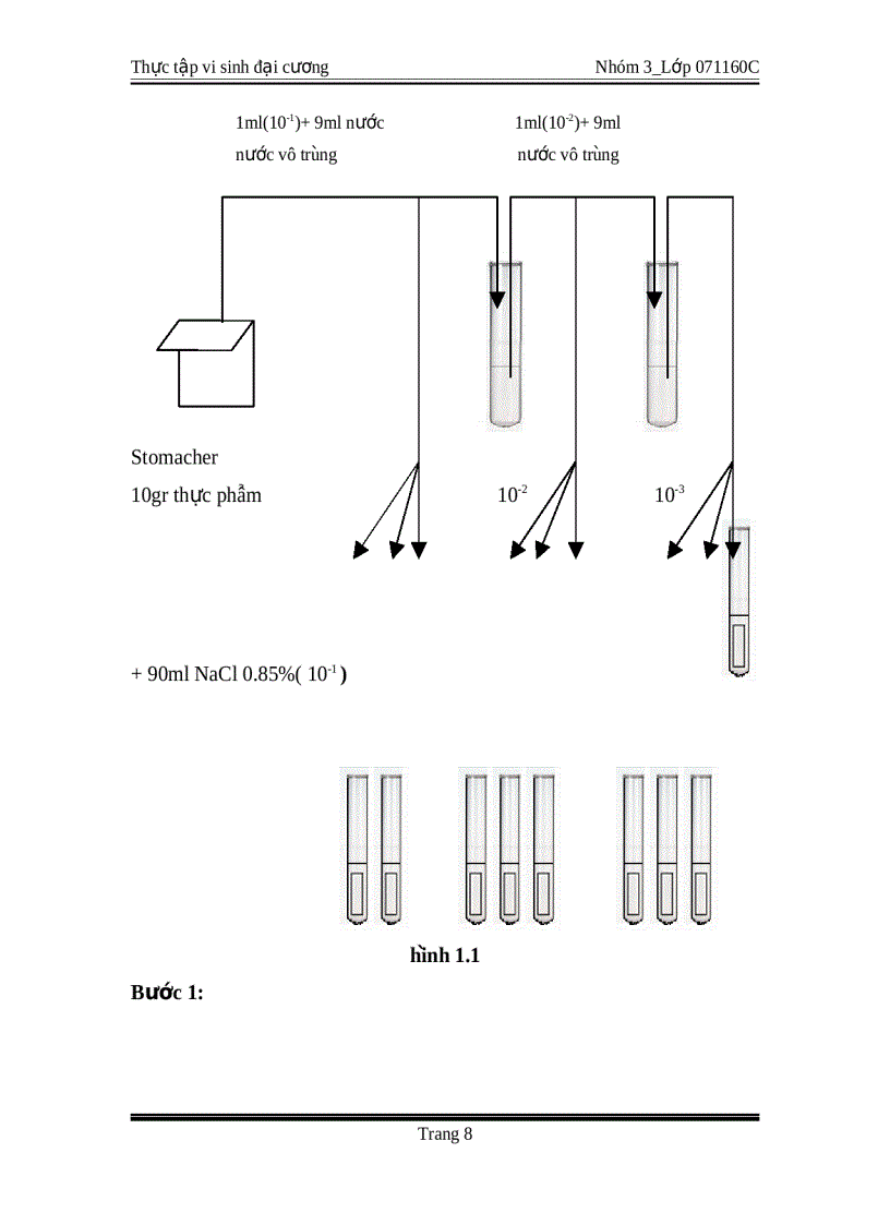 image for page Thực tập vi sinh đại cương