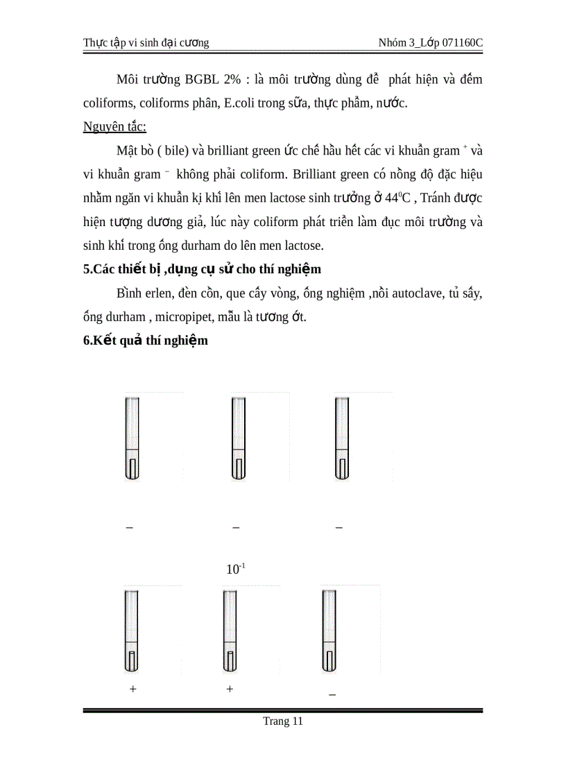 image for page Thực tập vi sinh đại cương