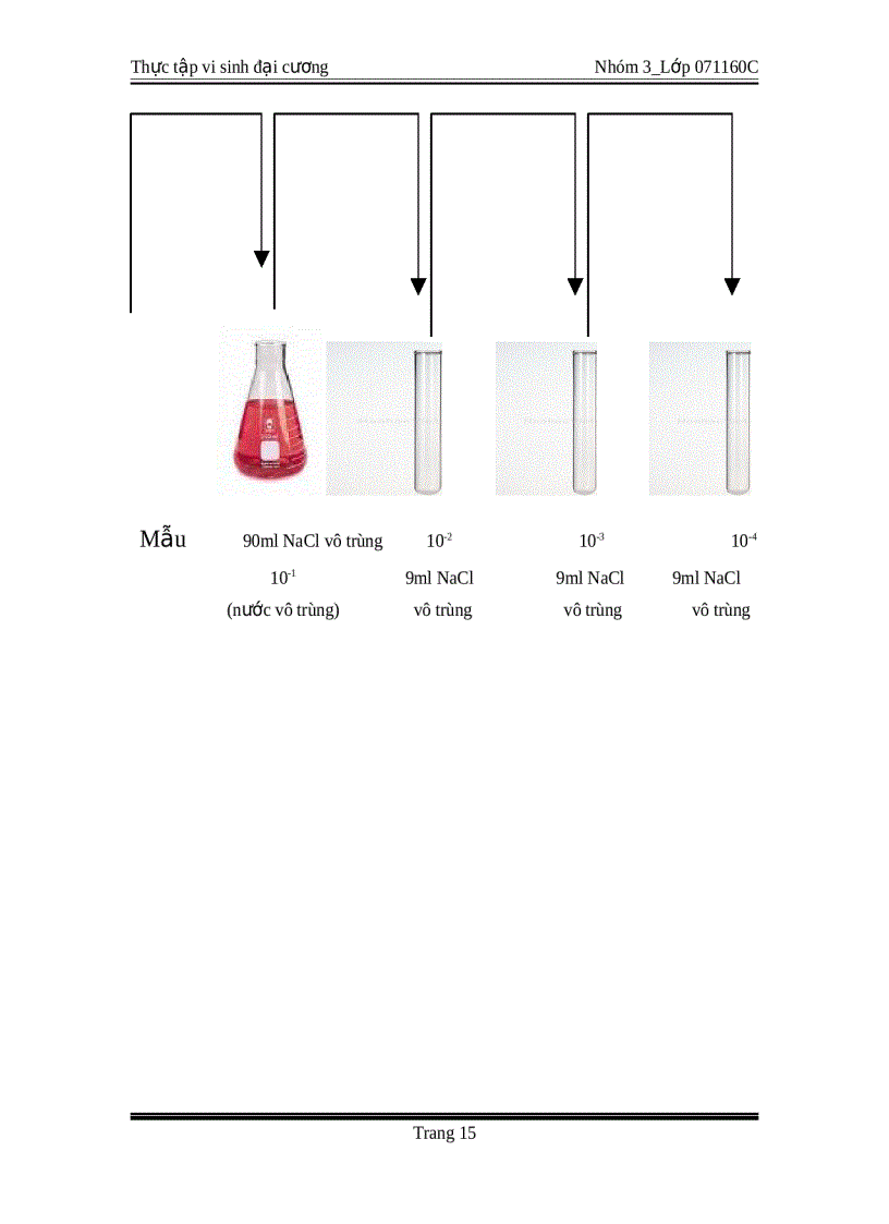 image for page Thực tập vi sinh đại cương