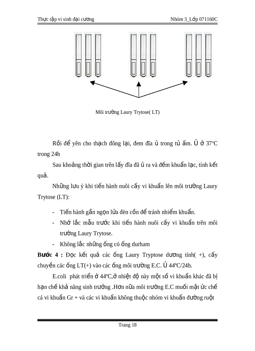 image for page Thực tập vi sinh đại cương