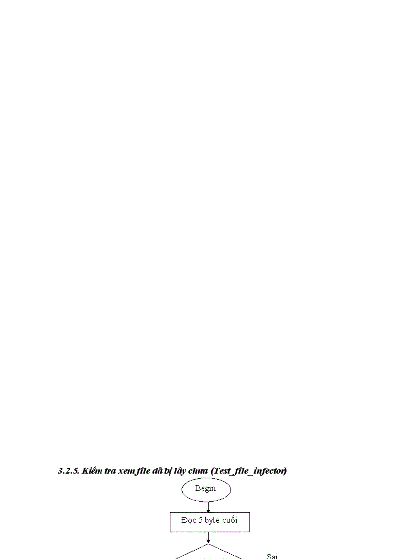 image for page Tìm hiểu file virus trên dos