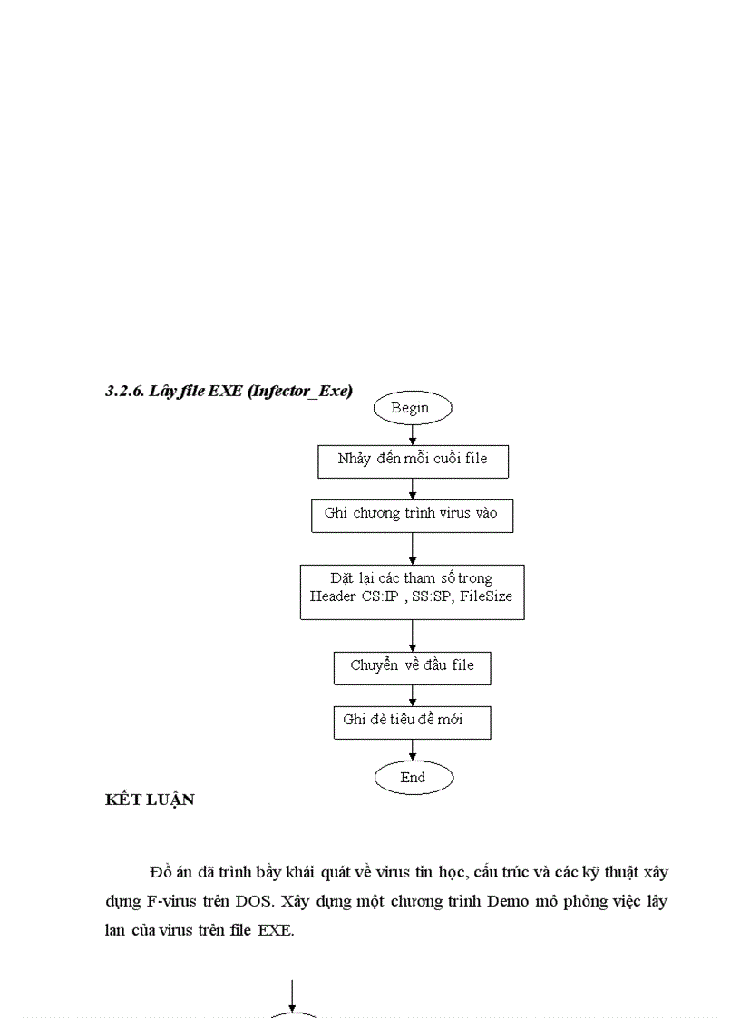 image for page Tìm hiểu file virus trên dos
