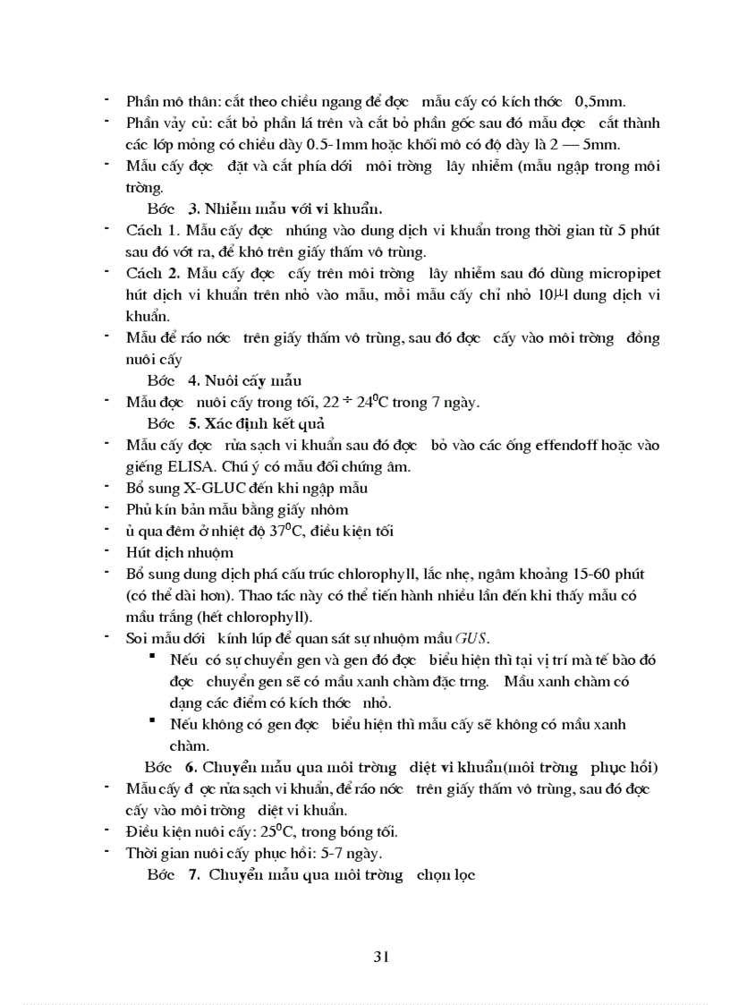 image for page Nghiên cứu chuyển gen bar kháng thuốc trừ cỏ vào cây hoa lily thông qua vi khuẩn Agrobecterium tumefaciens