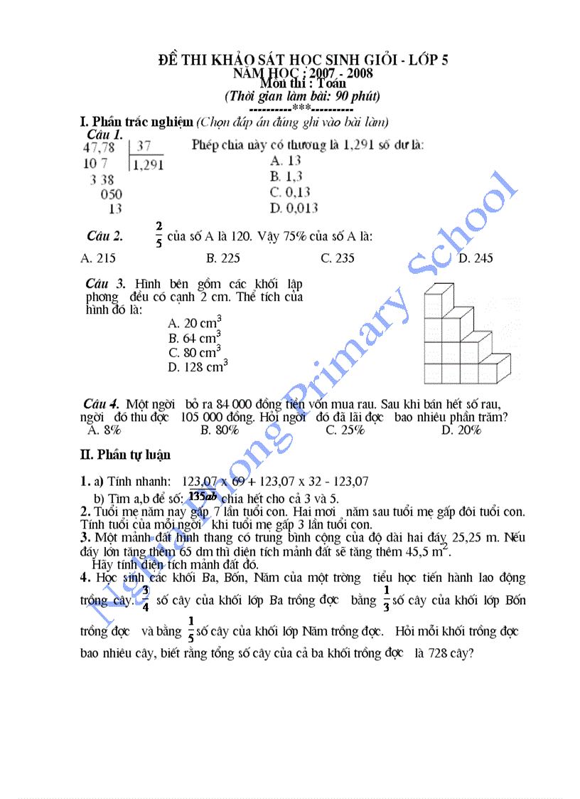 image for page Đề thi khảo sát hsg toán lớp 5