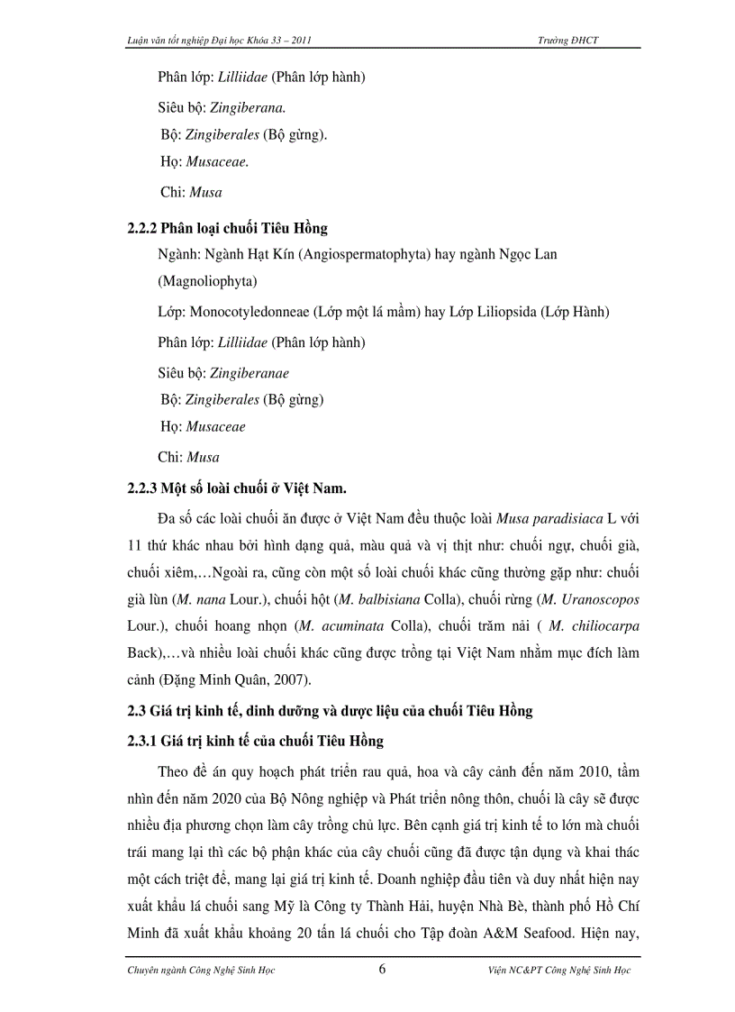 image for page Khảo sát ảnh hưởng của chất khử trùng vào hiệu quả nuôi cấy và ảnh hưởng của chất điều hòa sinh trưởng tới khả năng nhân chồi của Chuối Tiêu Hồng Hưng Yên
