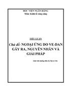 Ngoại ứng tiêu cực do Ve Đan gây ra nguyên nhân và giải pháp