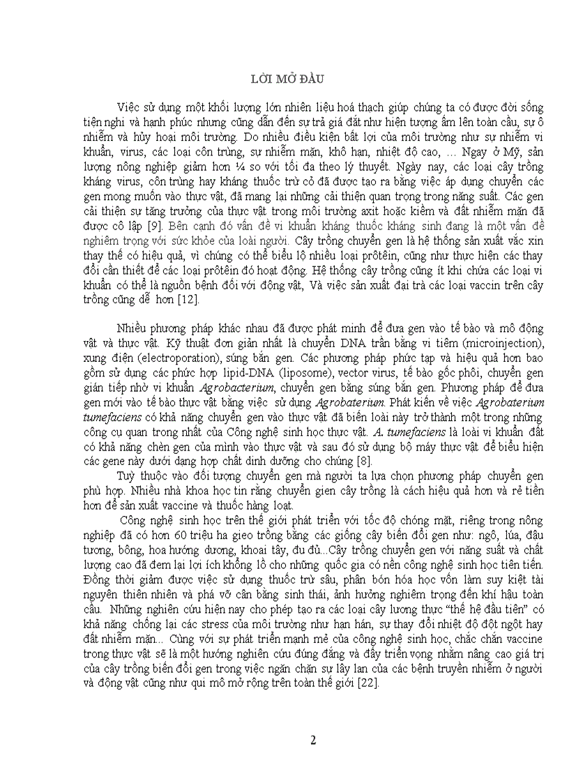 image for page Phương pháp chuyển gen vào cây trồng bằng vi khuẩn Agrobacterium tumefaciens