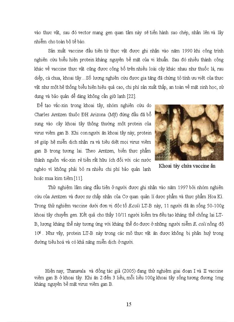 image for page Phương pháp chuyển gen vào cây trồng bằng vi khuẩn Agrobacterium tumefaciens