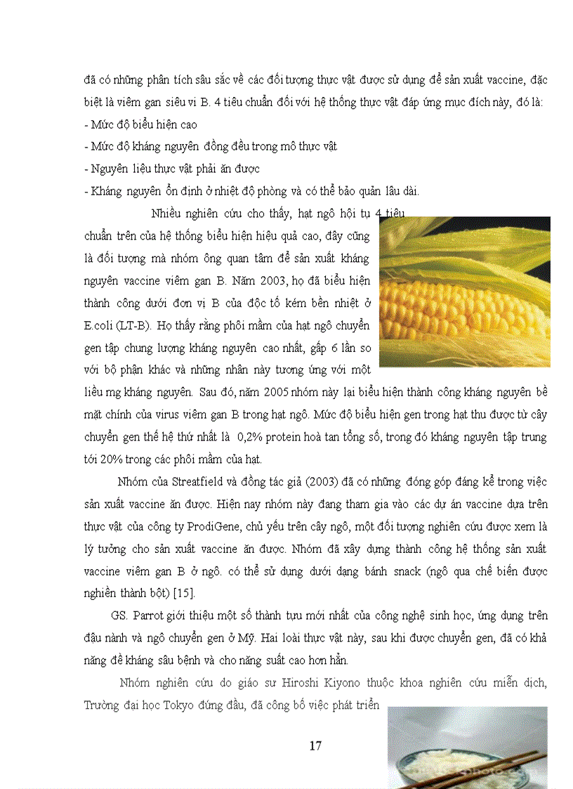 image for page Phương pháp chuyển gen vào cây trồng bằng vi khuẩn Agrobacterium tumefaciens