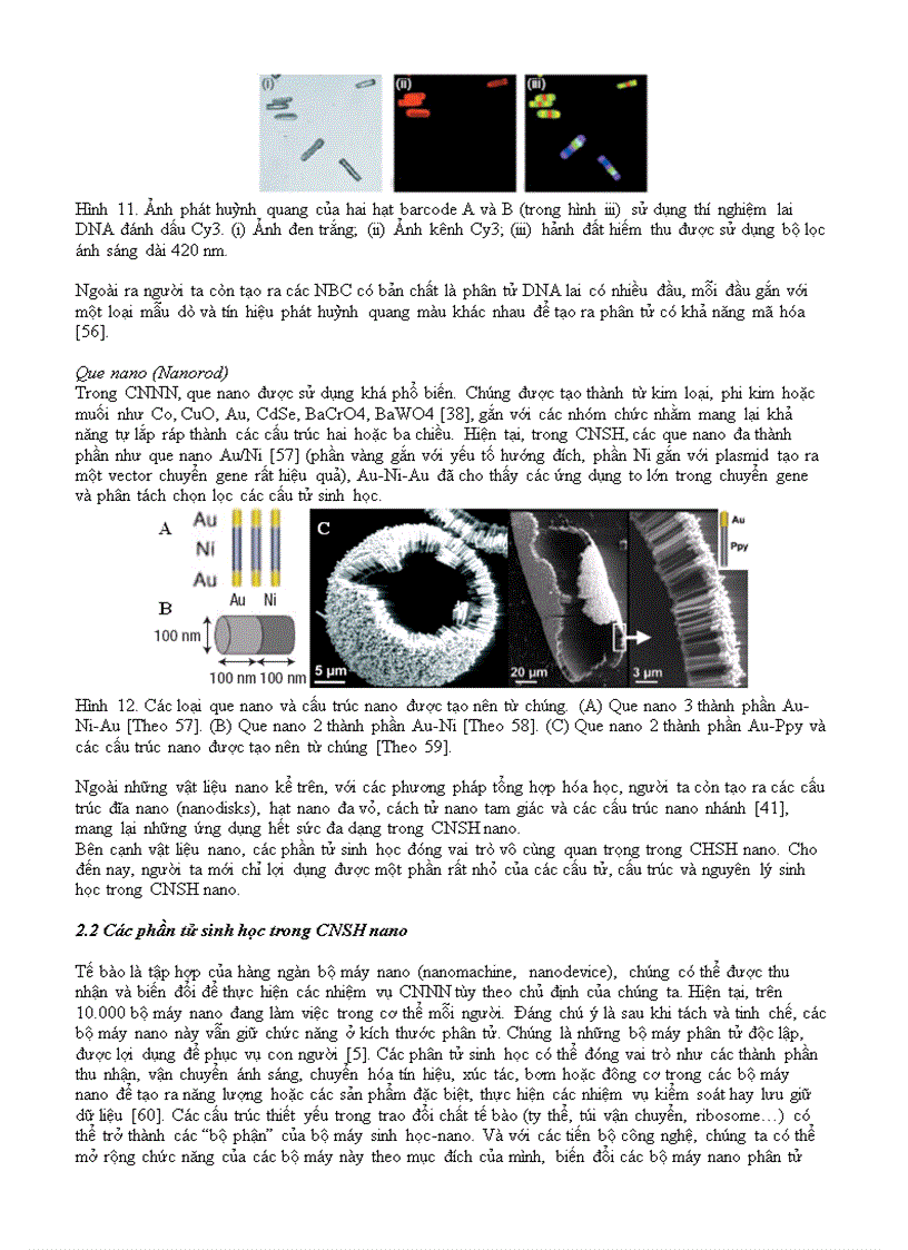 image for page Công nghệ sinh học nano