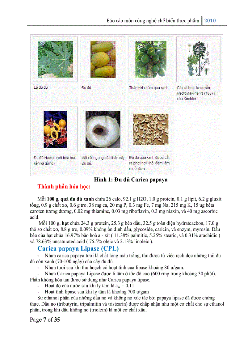 image for page Quy trình sản xuất bơ ca cao nhân tạo