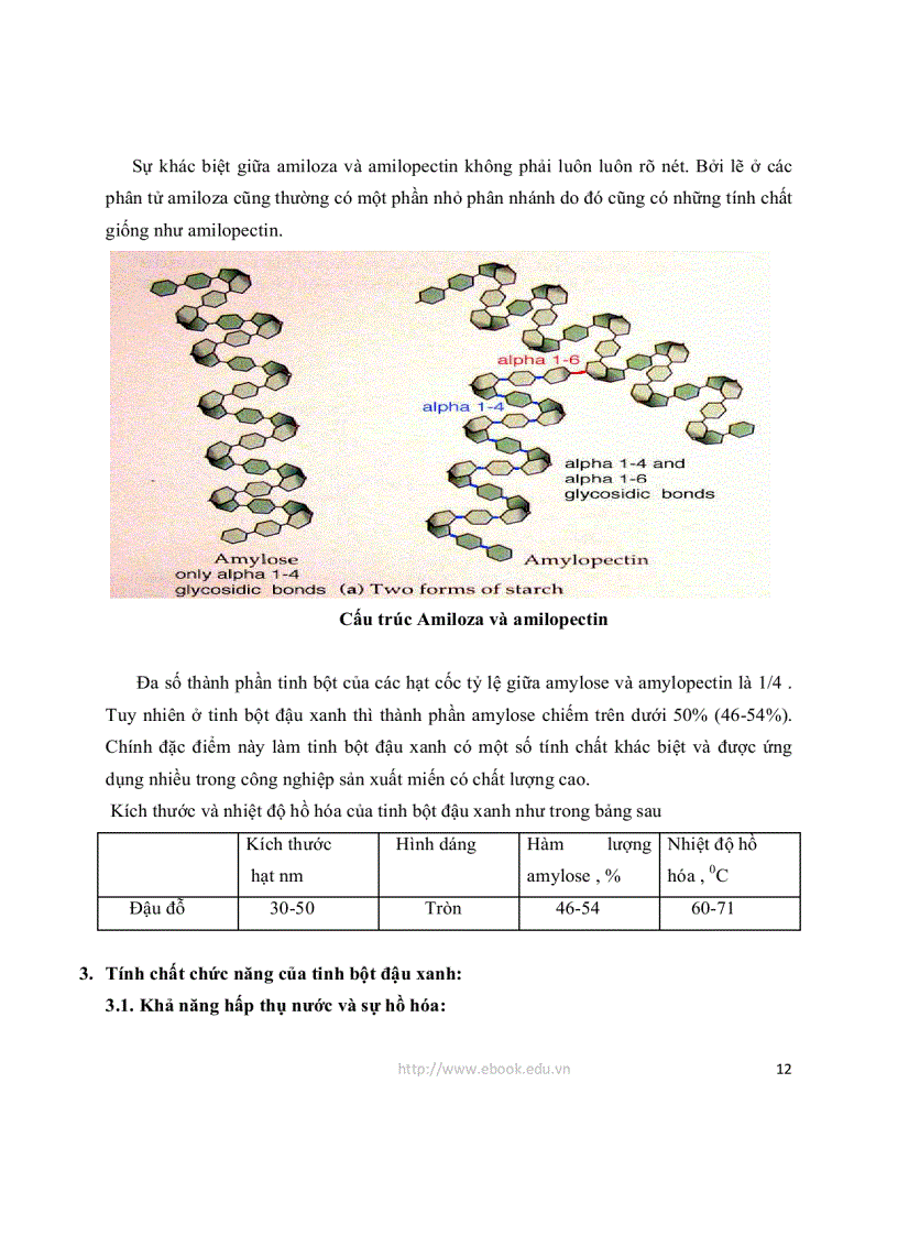 image for page Tìm hiểu về tinh bột đậu xanh và ứng dụng của tinh bột đậu xanh