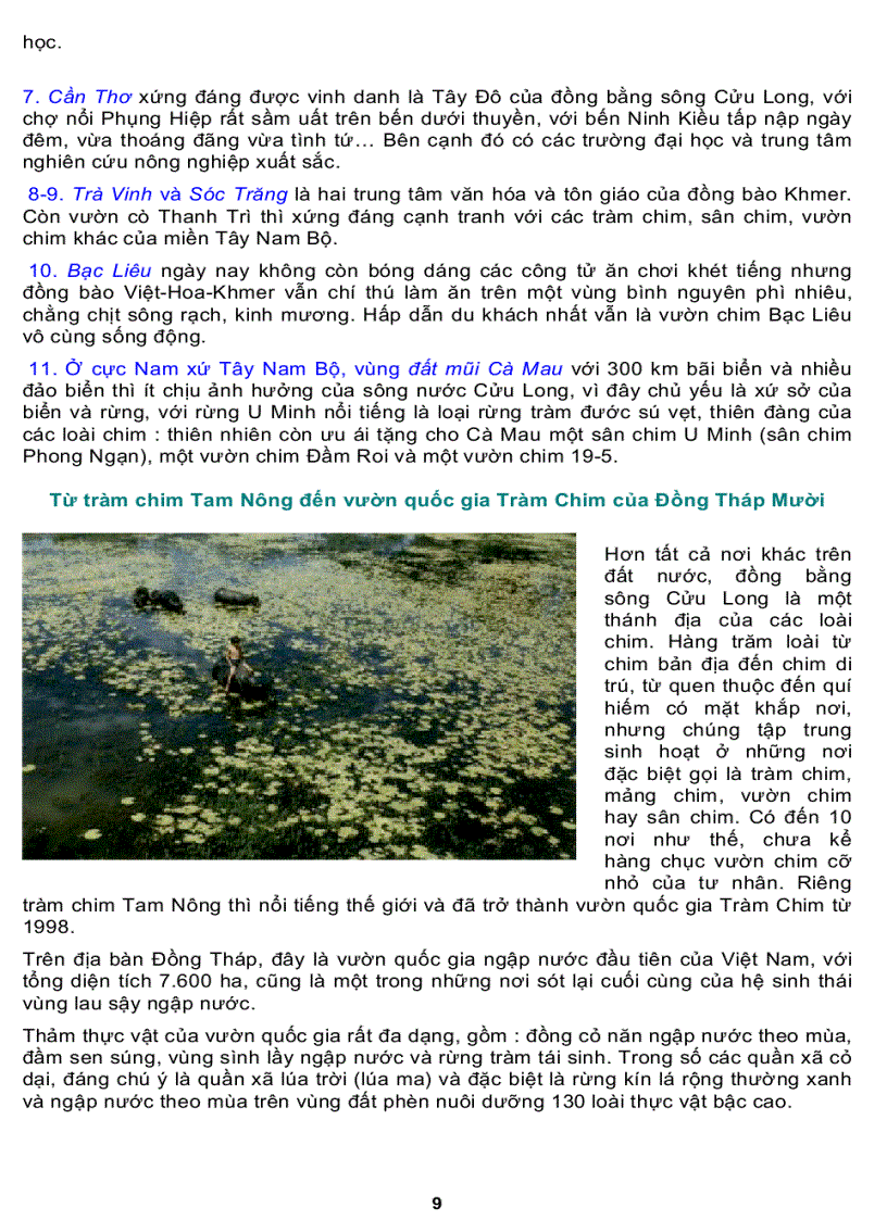 image for page Các Vùng Văn Hoá Dân Tộc Việt