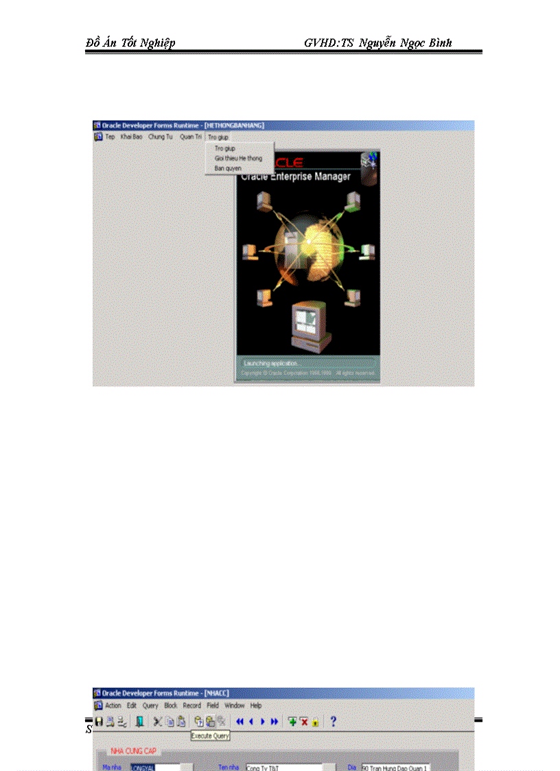image for page Hệ quản trị cơ sở dữ liệu oracle trong quản lý bán hàng