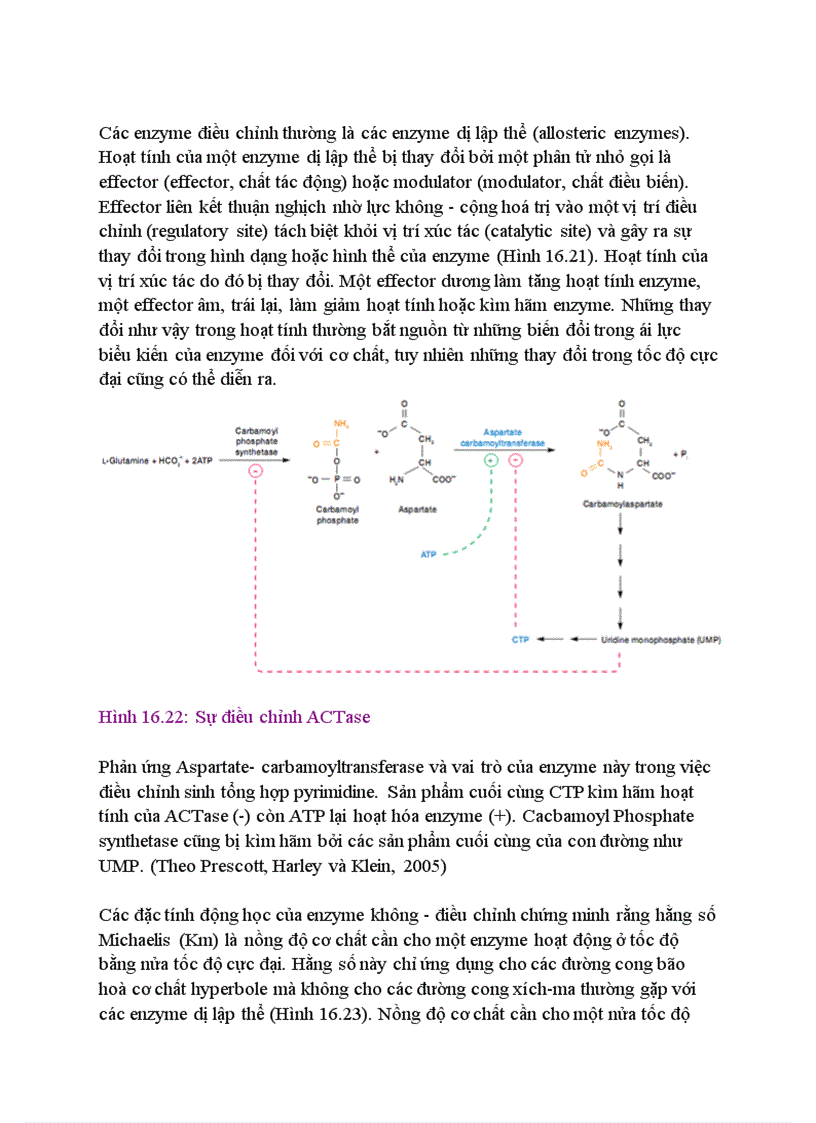 image for page Trao đổi chất ở Vi sinh vật